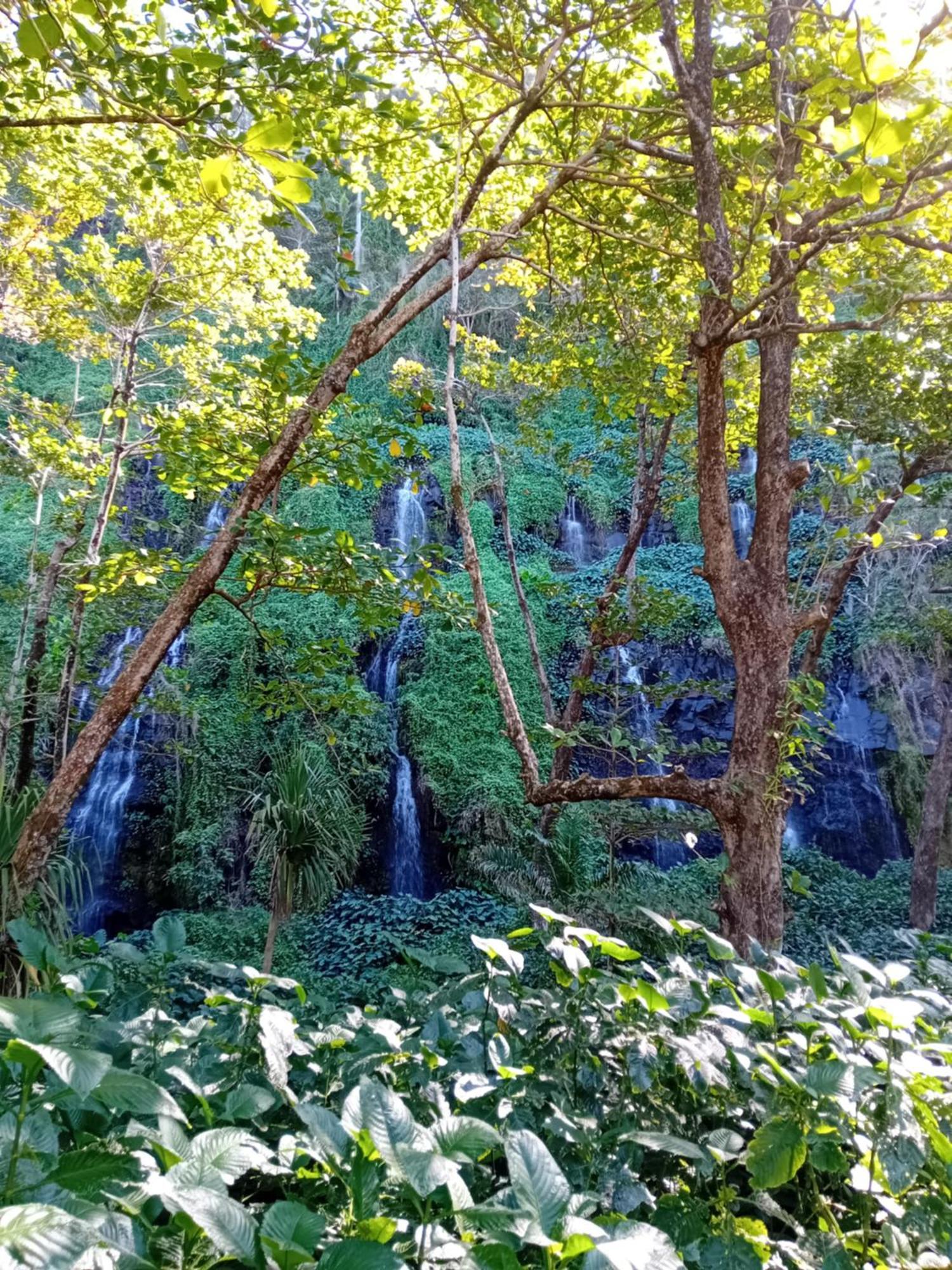 Bungalow L'Escale De Takamaka Saint-Benoît Dış mekan fotoğraf